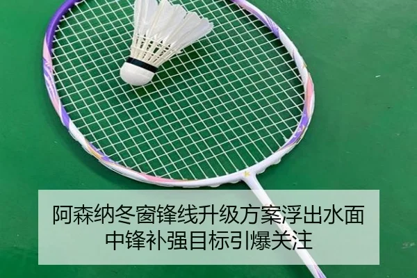 阿森纳冬窗锋线升级方案浮出水面 中锋补强目标引爆关注 - Crown